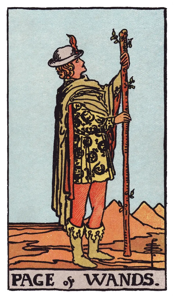 The Page of Wands from the Rider-Waite-Smith deck: a young figure in a tunic patterned with salamanders stands in a desert landscape, holding an upright wand at arm's length and examining it with curious attention, three distant pyramids visible on the horizon.