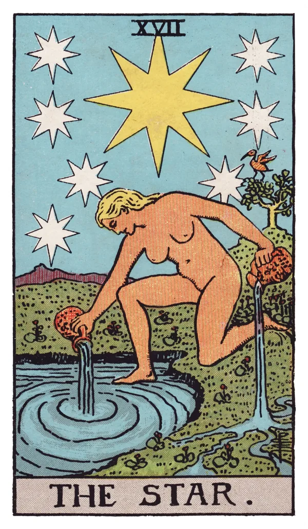 The Star from the Rider-Waite-Smith deck: a naked woman kneels beside a pool of water, pouring liquid from two jugs — one back into the pool, one onto the land — beneath a night sky where one large eight-pointed star shines at the center of seven smaller stars, an ibis perched in a nearby tree and low mountains visible in the distance.